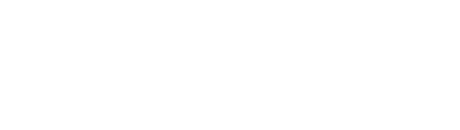 1冊3,990円