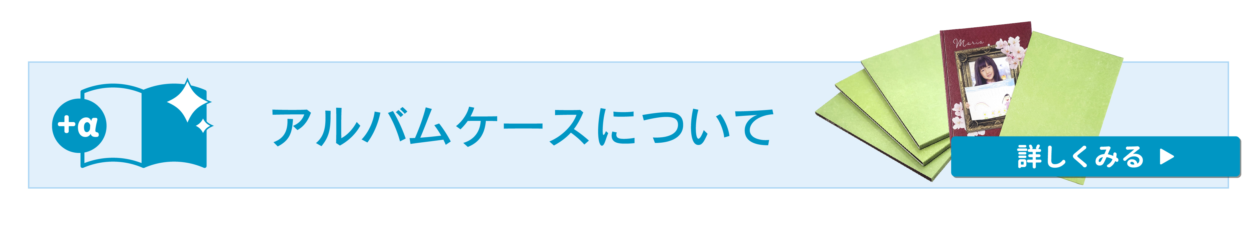 ケースについてはコチラをクリックしてください